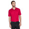Polo tressé pour homme de taille longue CrownLux PerformanceMC de Devon & JonesMD